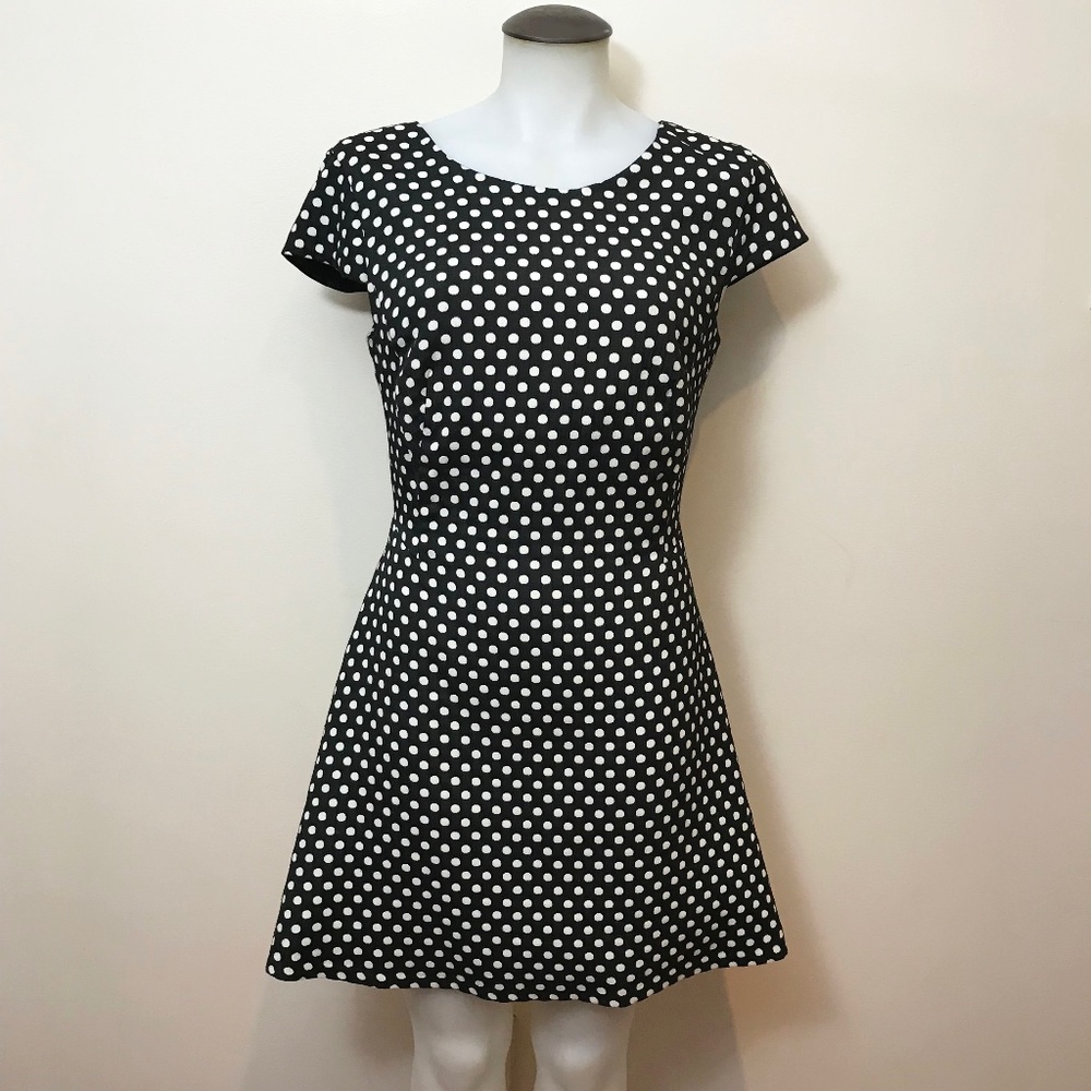 Black & White Polka Dot Zara Fit and Flare Dress